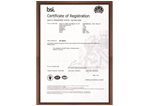 BSI資格認證